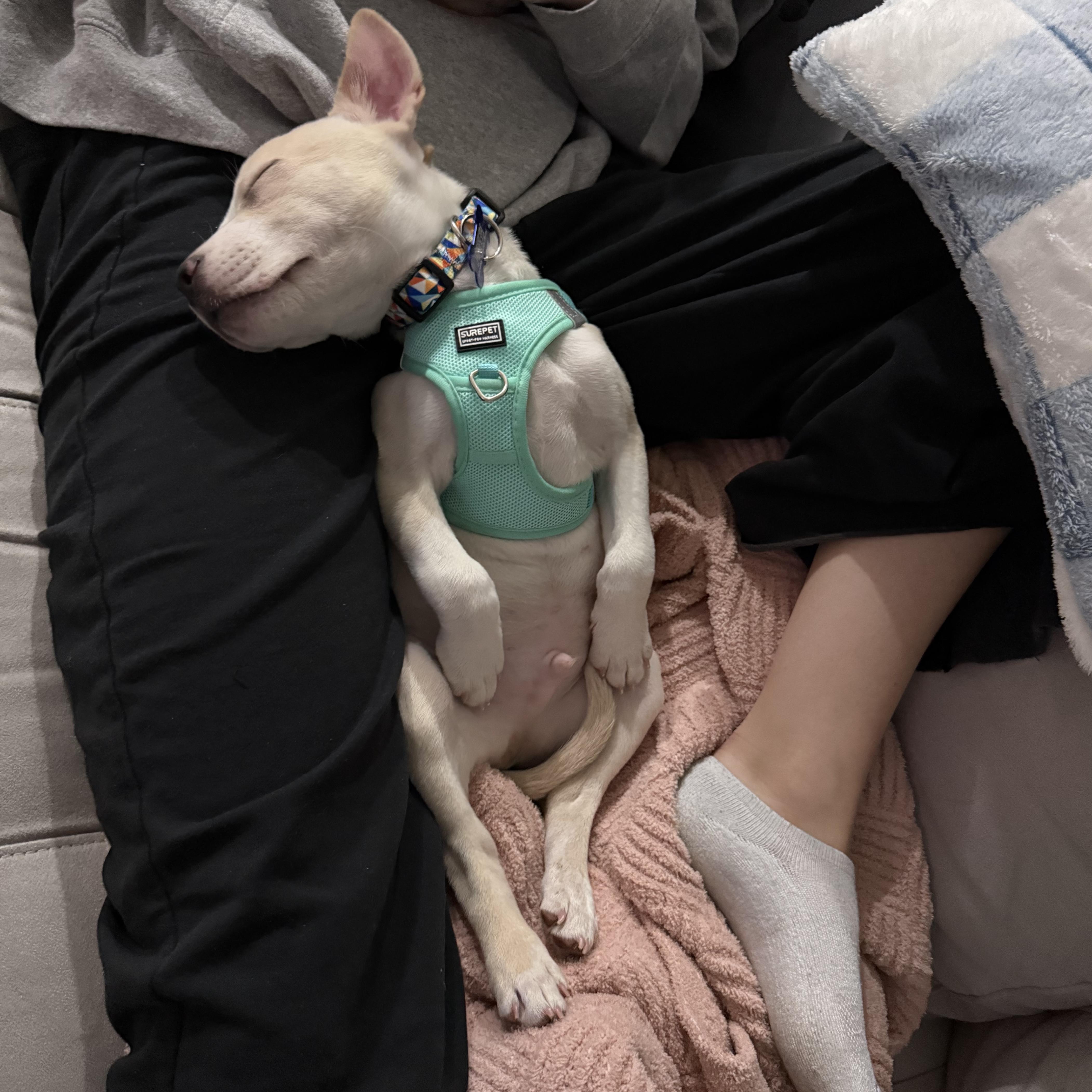 Kingsman — thumbnail 6