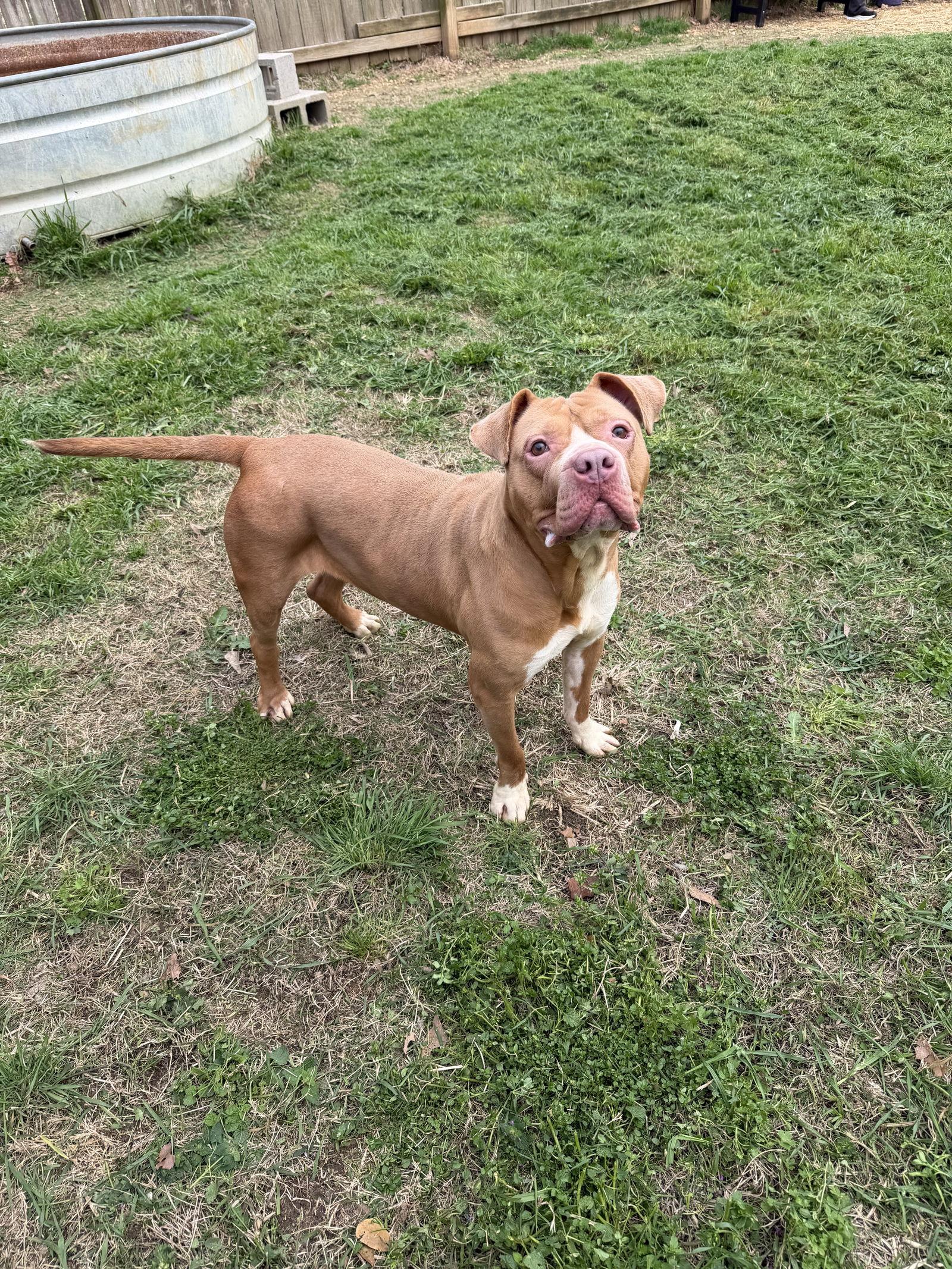 Athena — thumbnail 2