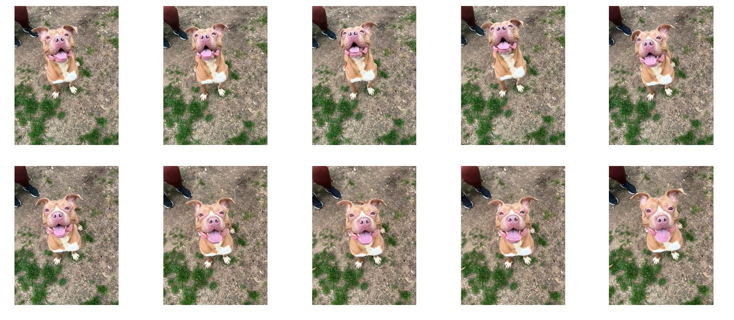 Athena — thumbnail 3