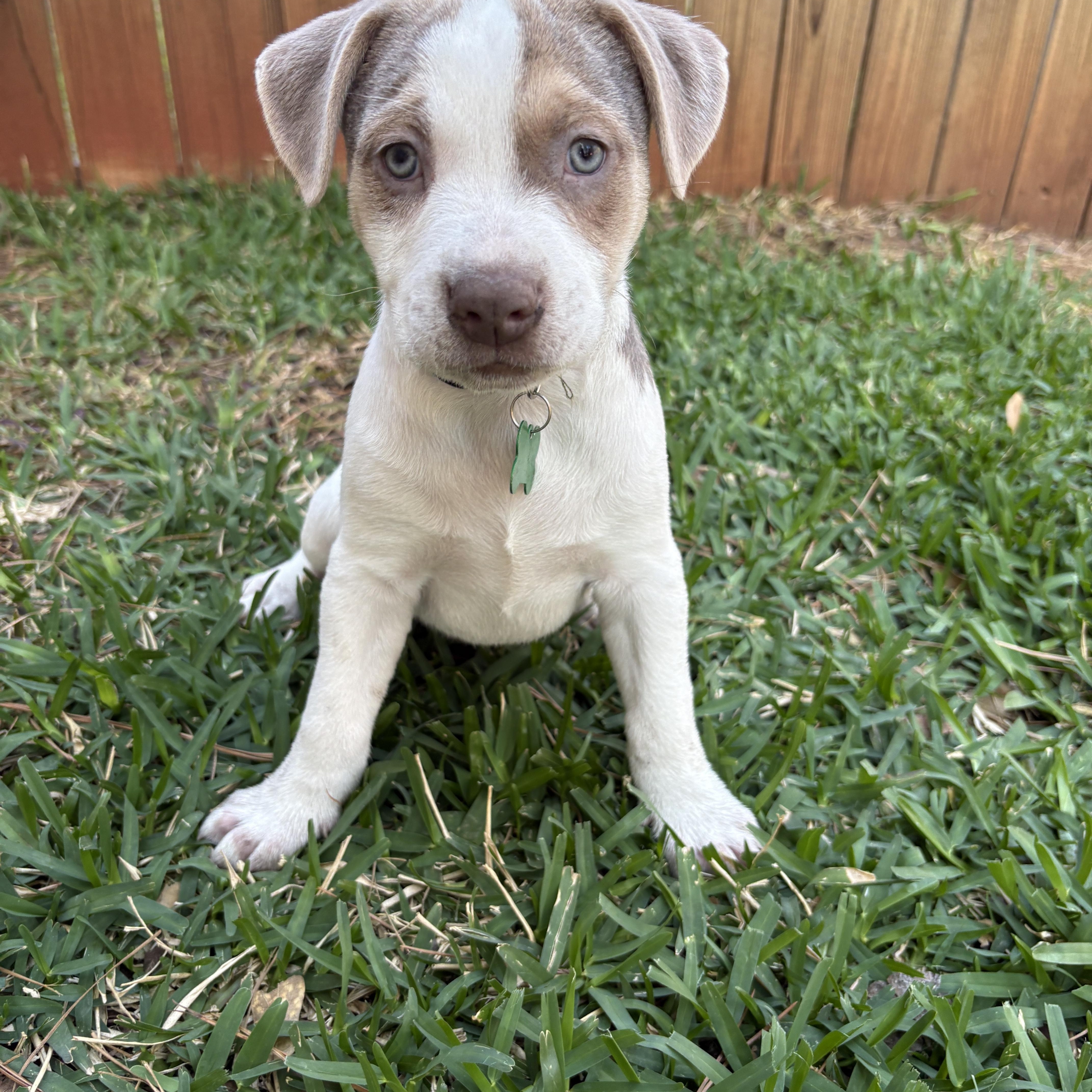 Cliff — thumbnail 2