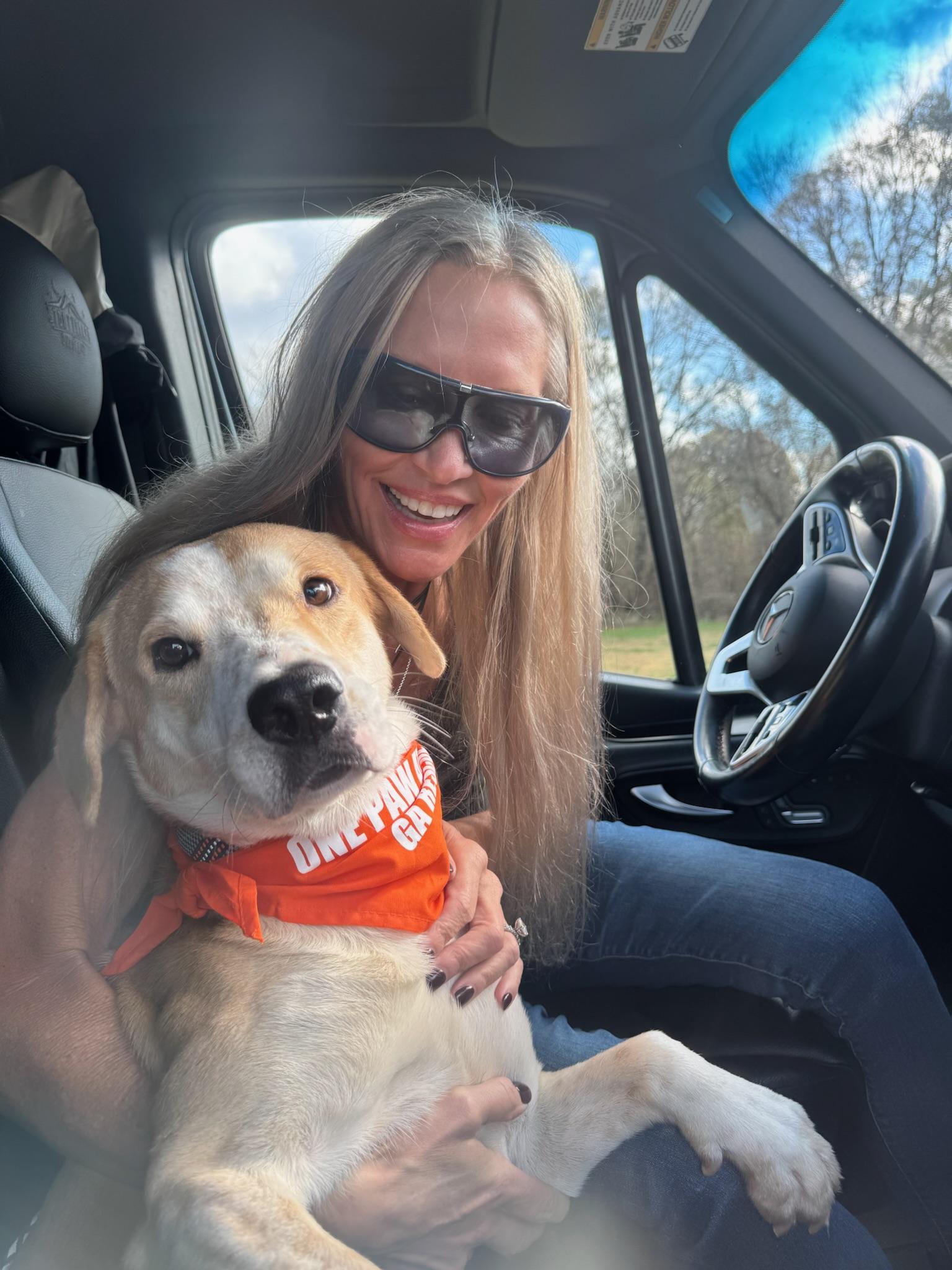 Enlarge Reno, a ADOPTABLE mixed breed in atlanta, GA image 4/5