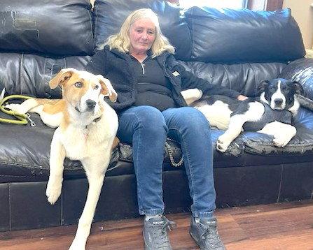 Enlarge Peanut, a Adopted mixed breed in Mount Laurel, NJ image 2/3