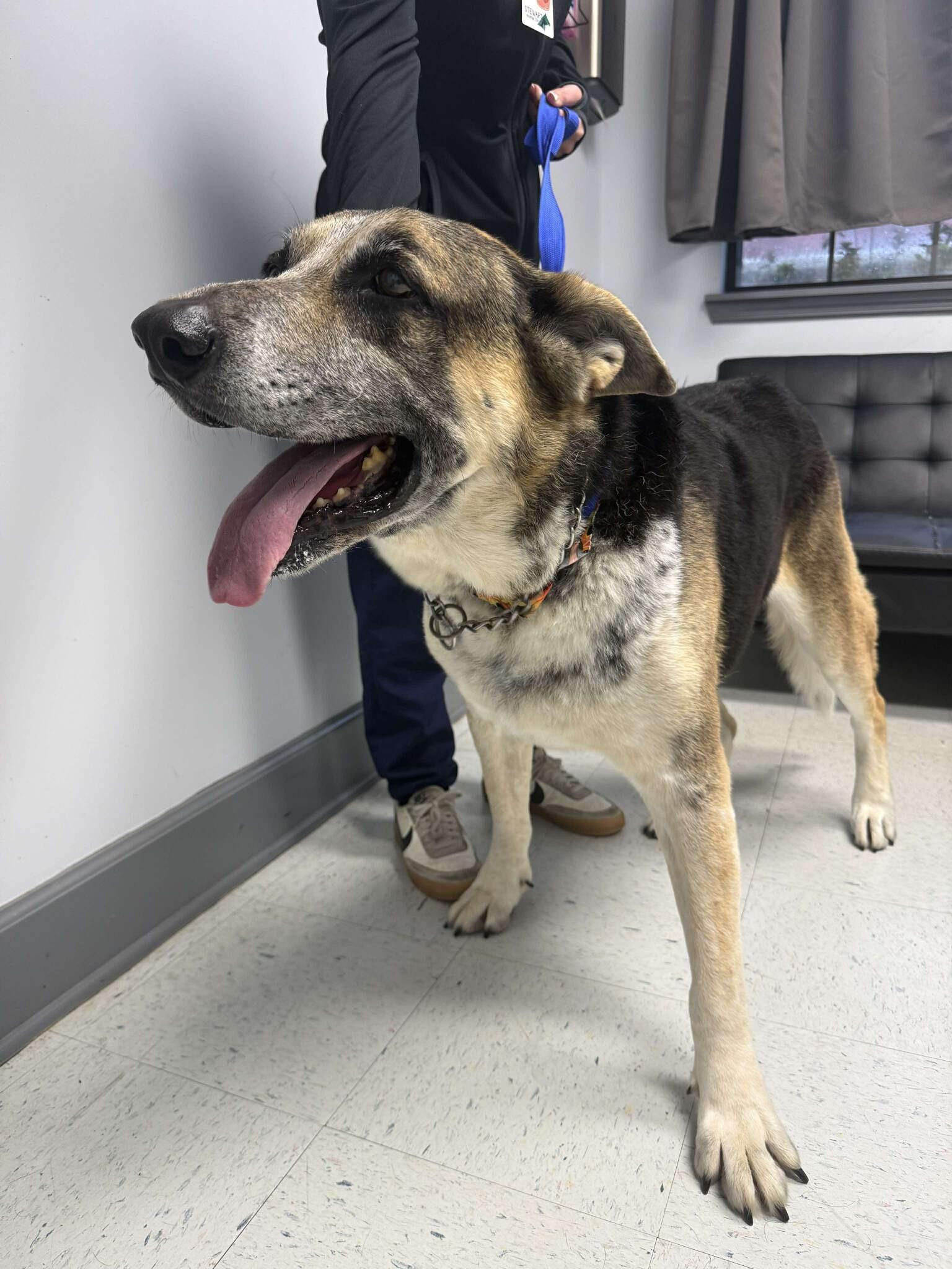 LUCKY — thumbnail 3