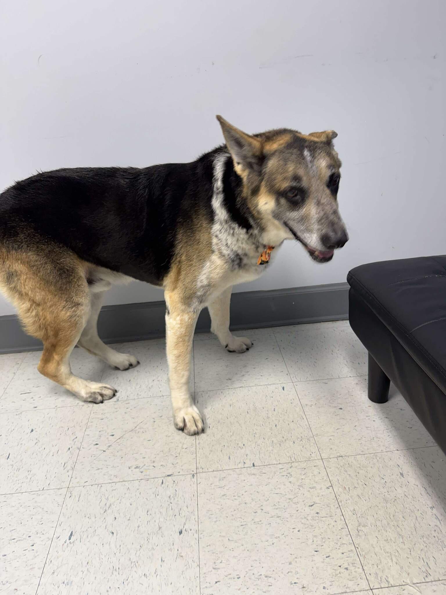 LUCKY — thumbnail 5