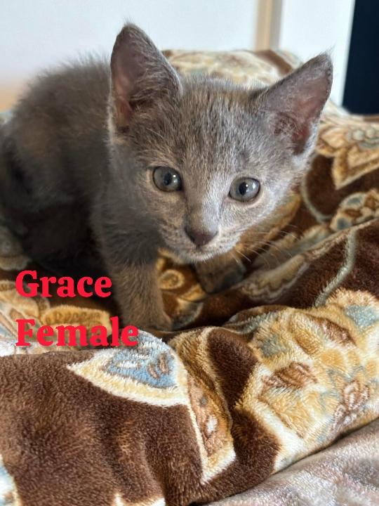 Grace