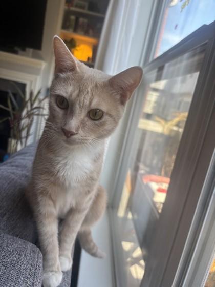 Marvel — thumbnail 2