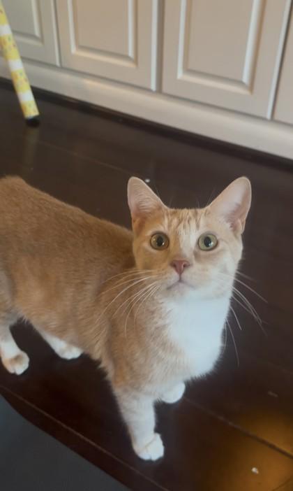 Marvel — thumbnail 3