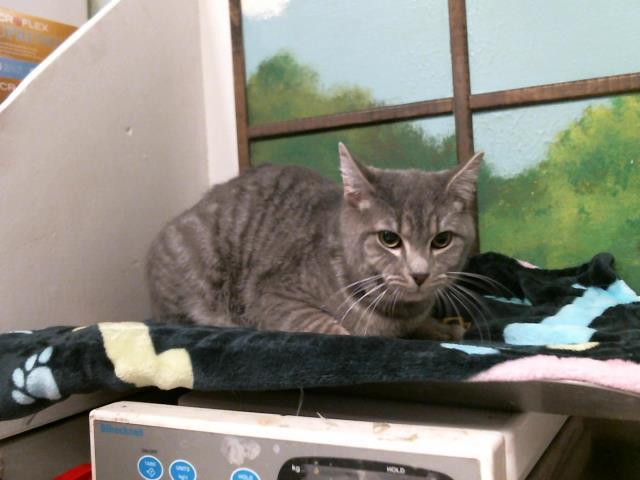 DAVID — thumbnail 2