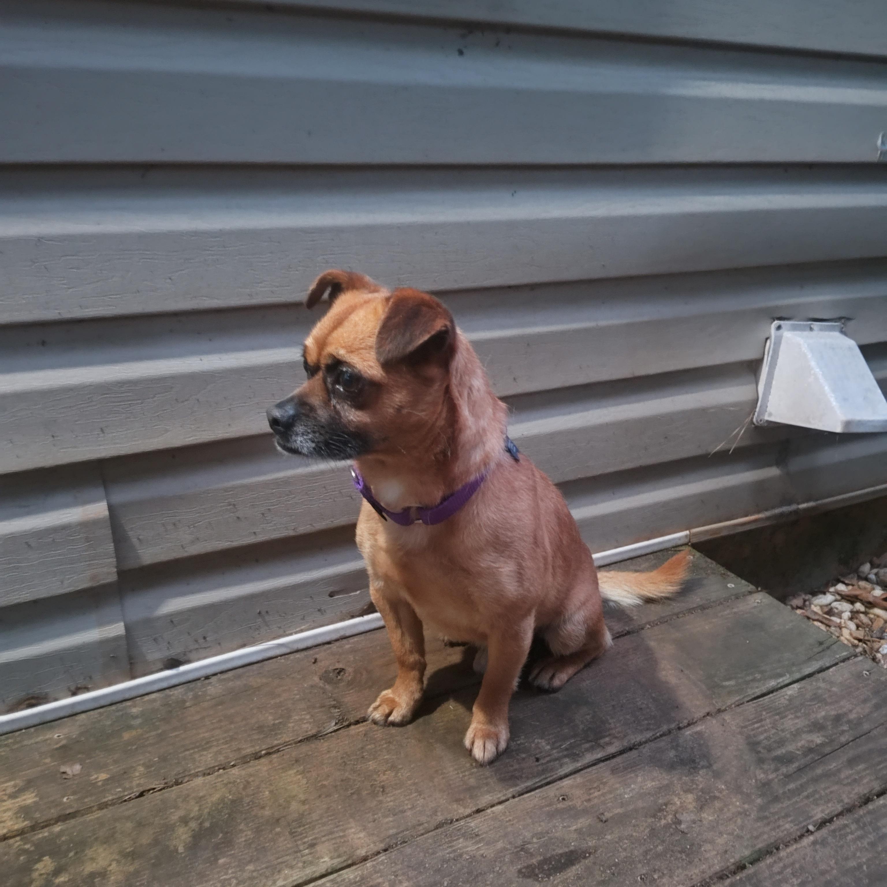 Tyson