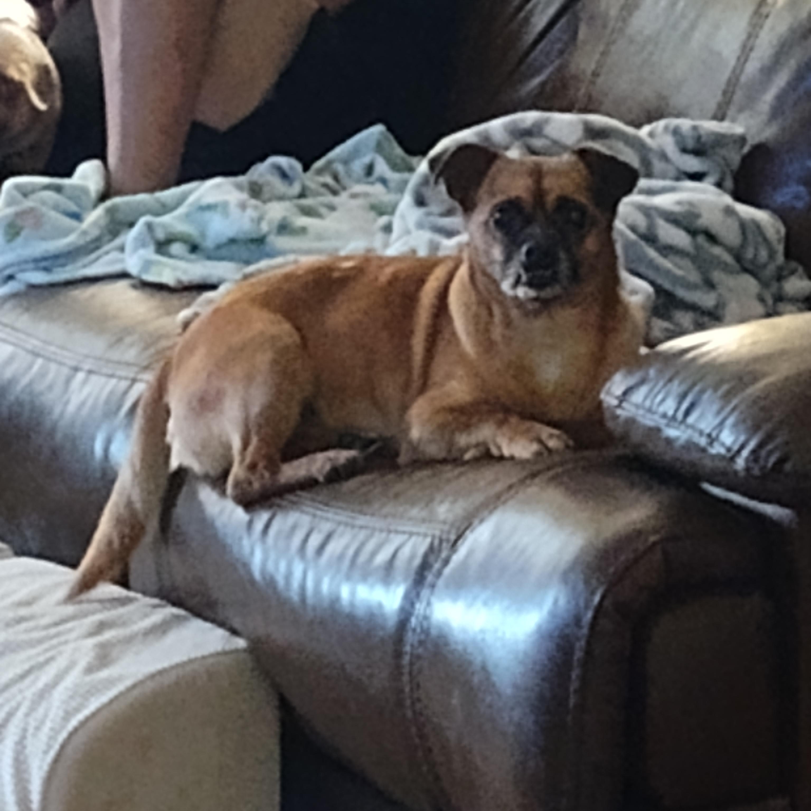 Tyson