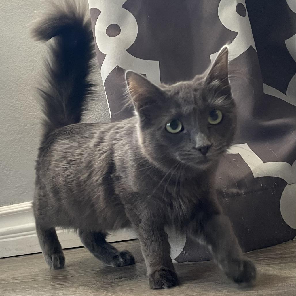 Marie Antoinette — thumbnail 2