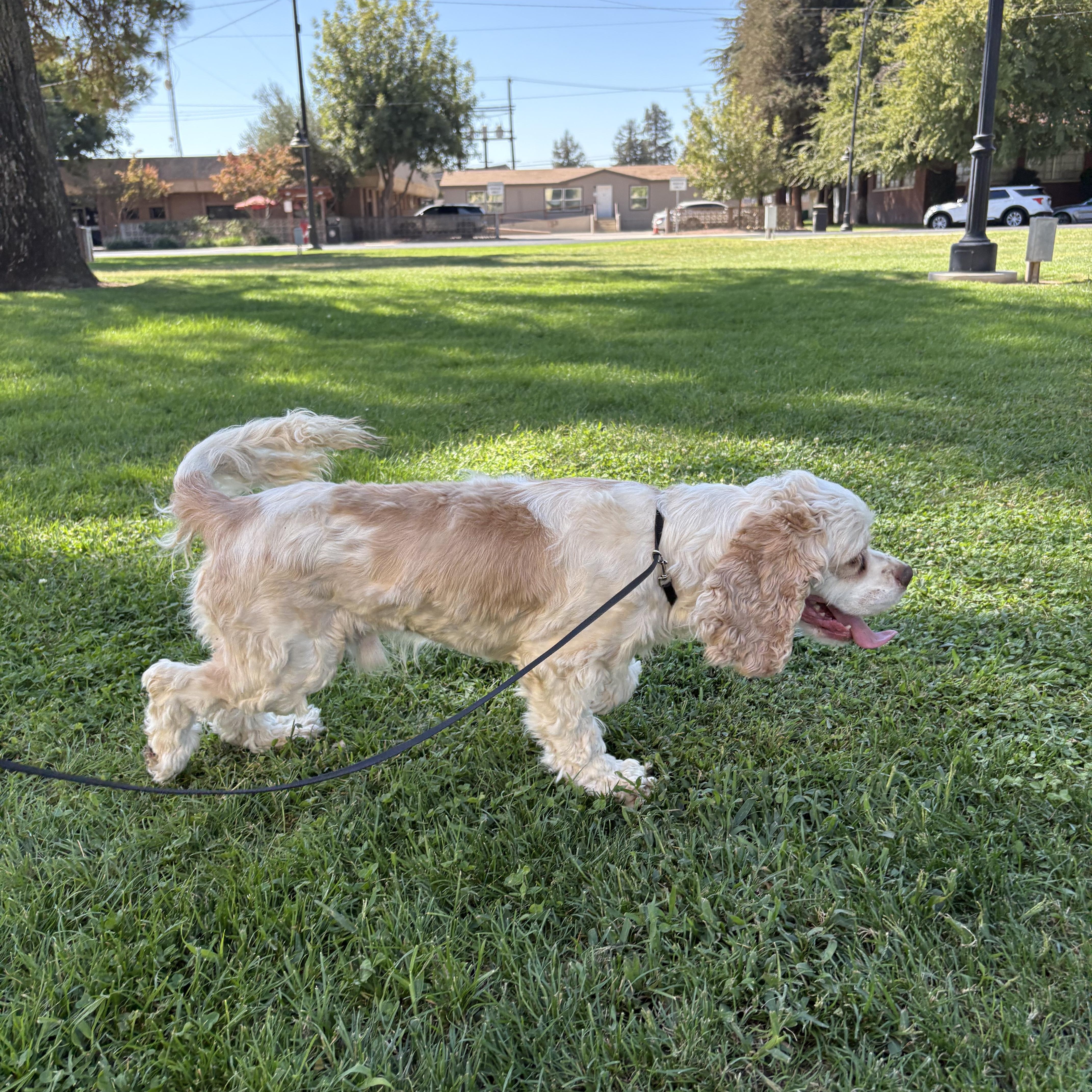 Marley photo