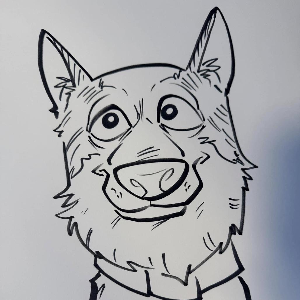 Mo, Adoptable, Young Female Terrier.