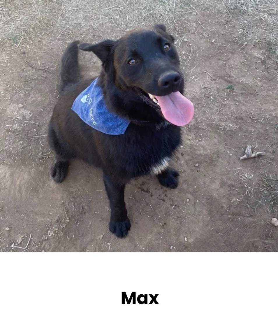 Max 2