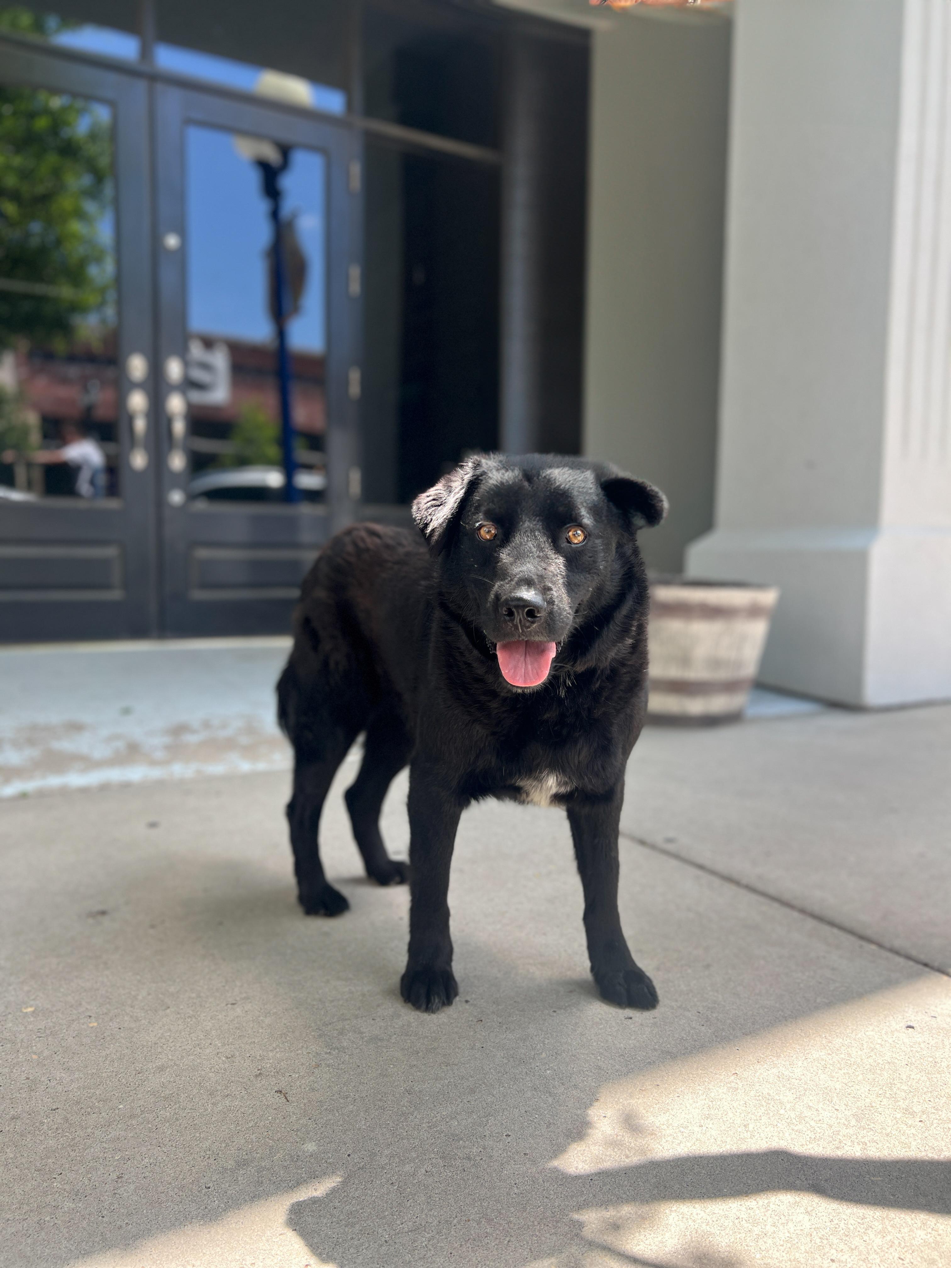 Max