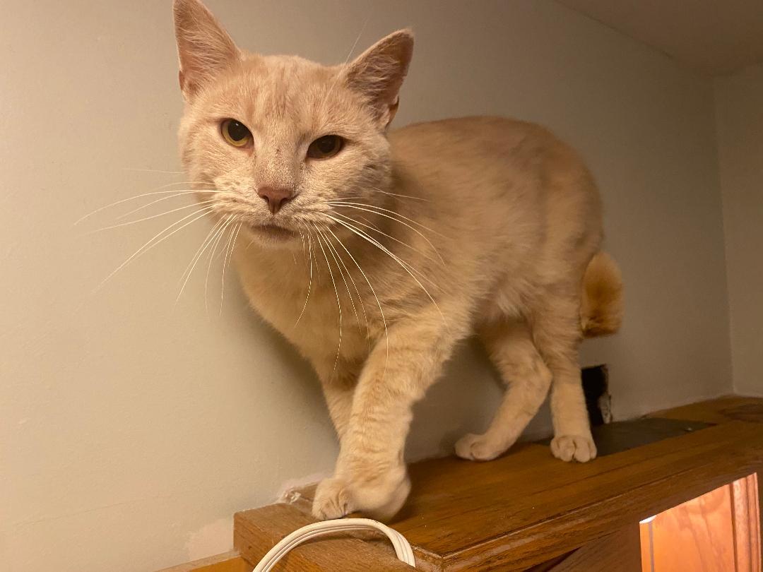 Linus photo 3