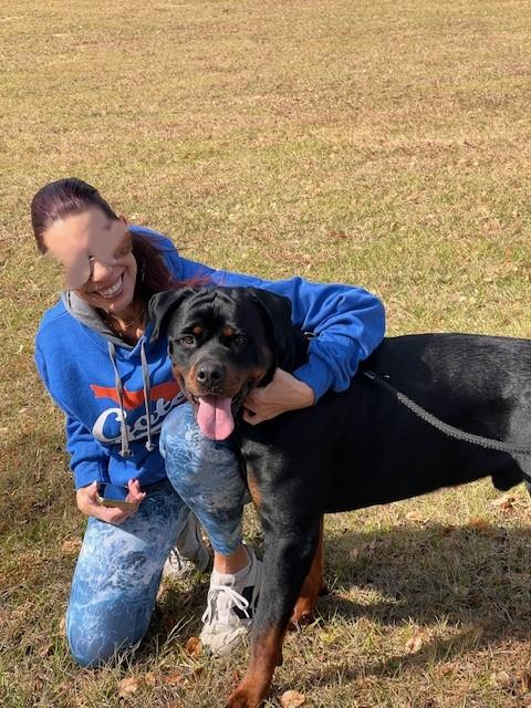 King, a ADOPTABLE Rottweiler in Margate, FL image 4/6