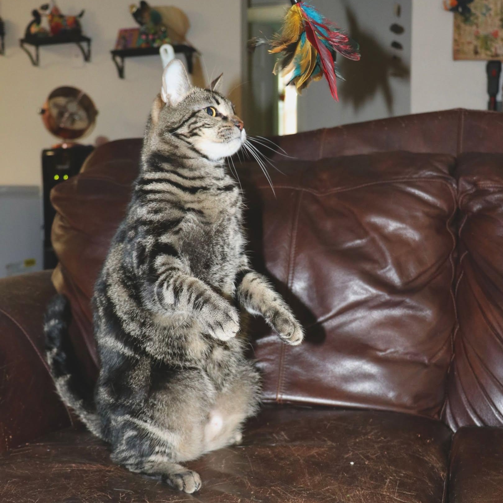 Legendary Link  Hero thumbnail 6