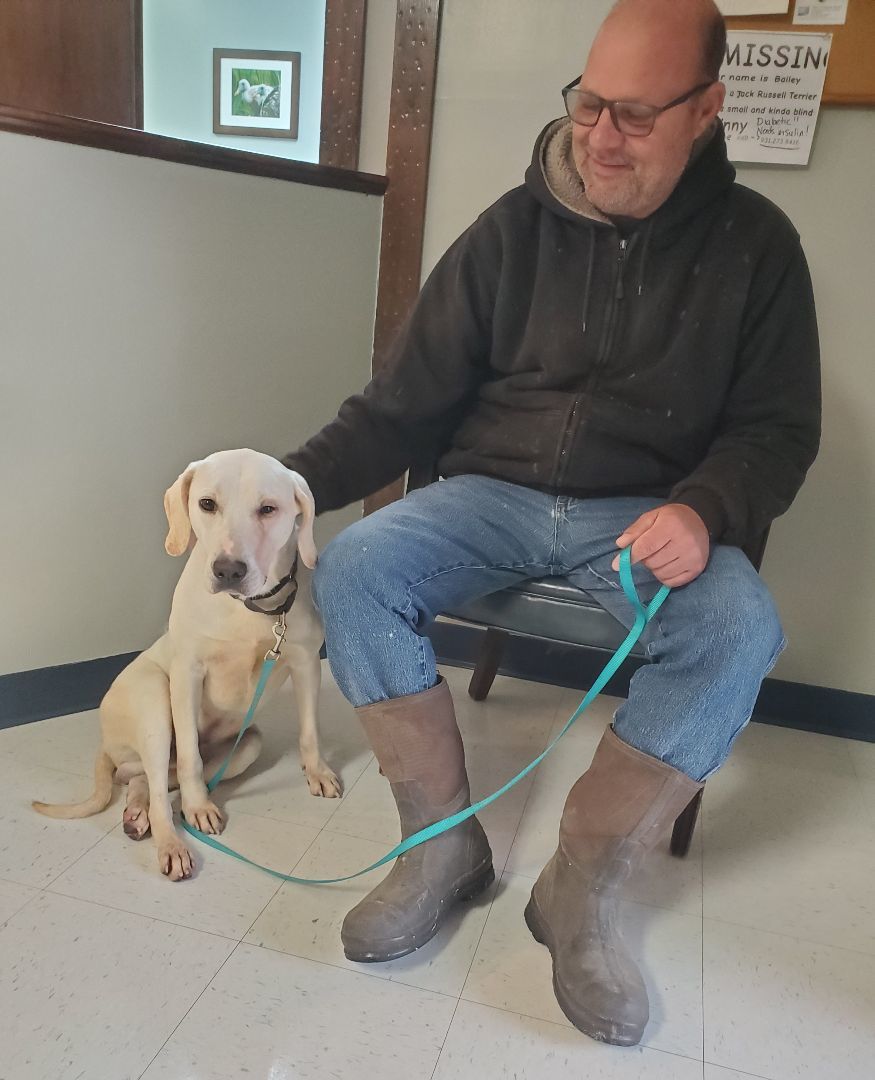 Dog for adoption DONNER, a Labrador Retriever in Morrison, TN Petfinder