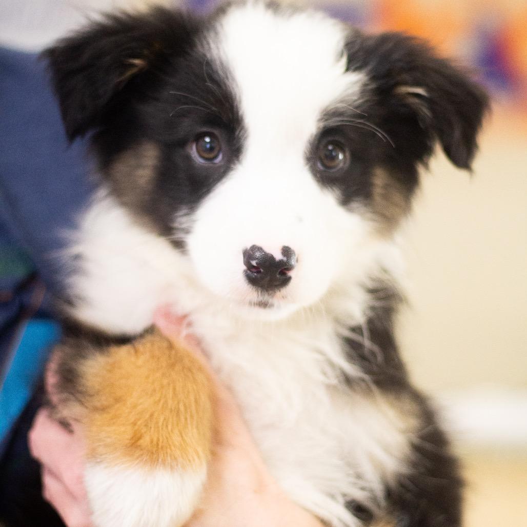 Ari 22048 — thumbnail 2