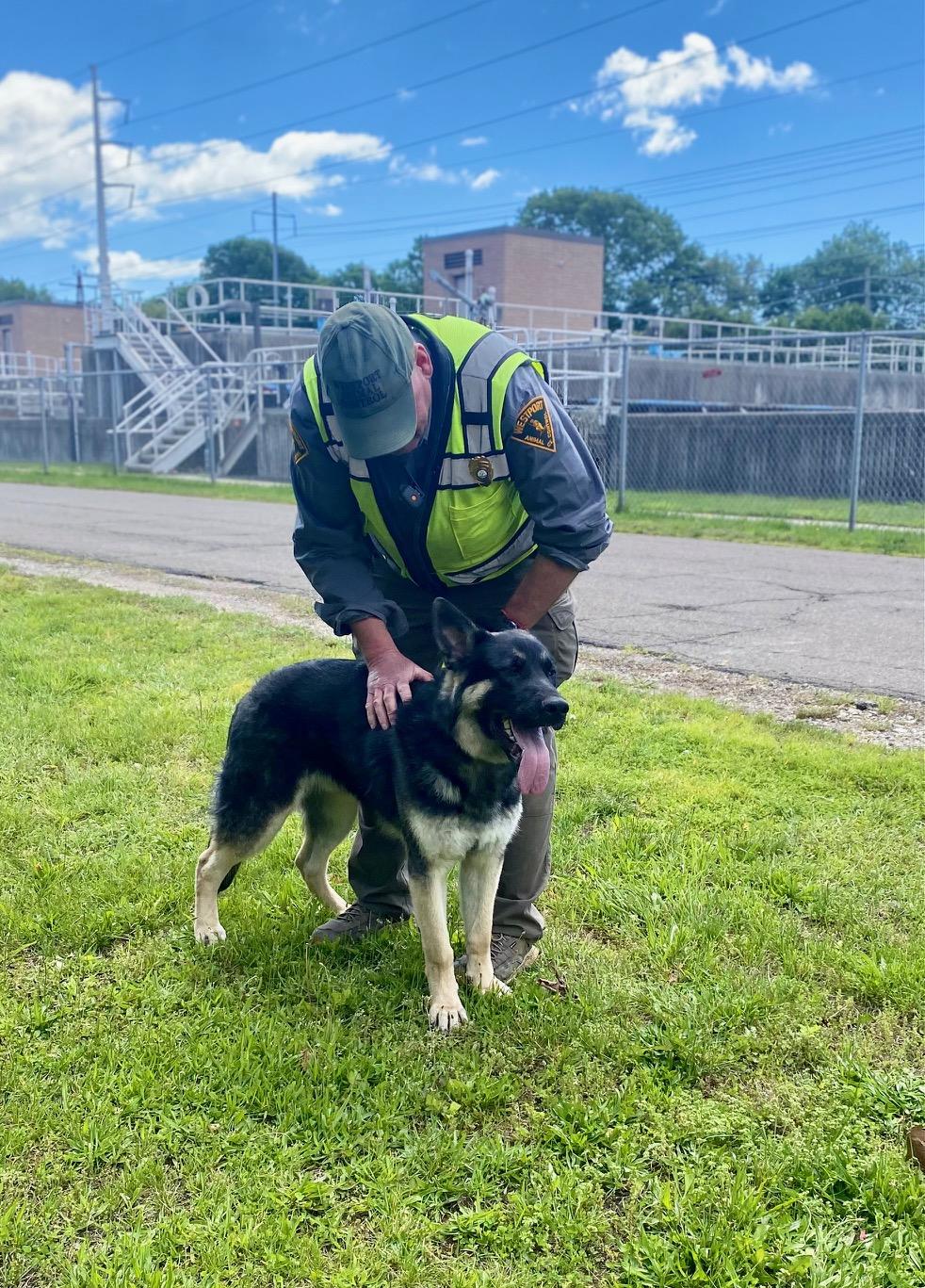 COURTESY POST FOR WASA:  Rudy