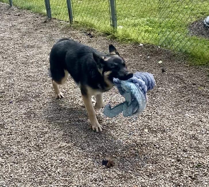 COURTESY POST FOR WASA:  Rudy
