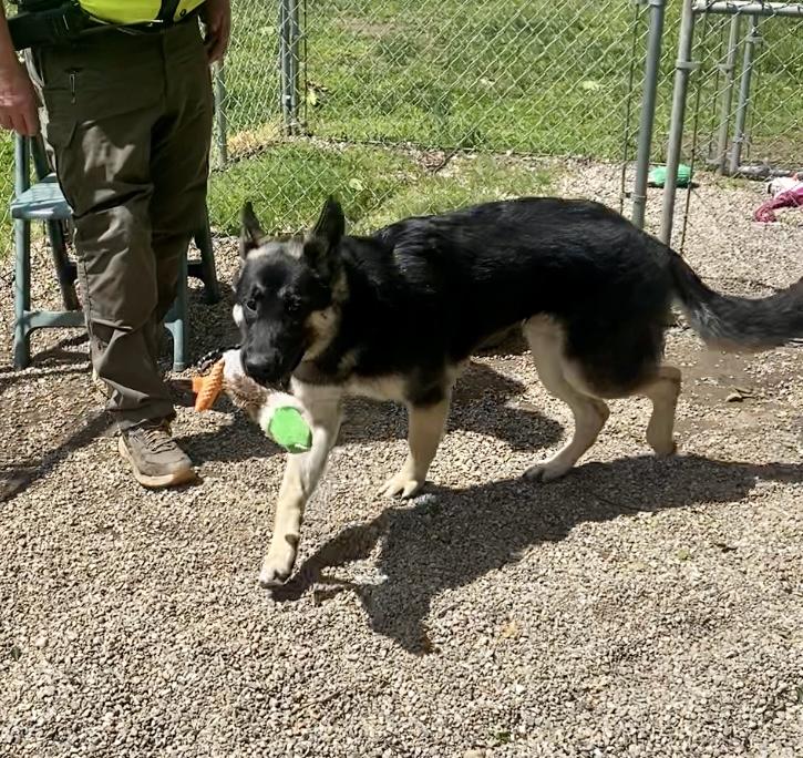 COURTESY POST FOR WASA:  Rudy