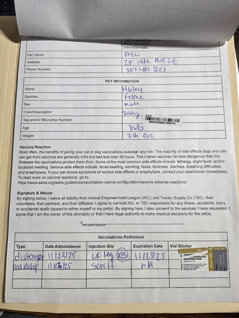 Harley, a Adoptable mixed breed in Minot, ND image 1/4