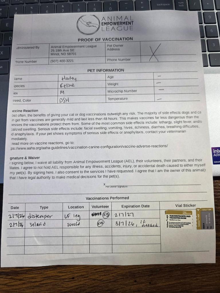 Harley, a Adoptable mixed breed in Minot, ND image 3/4