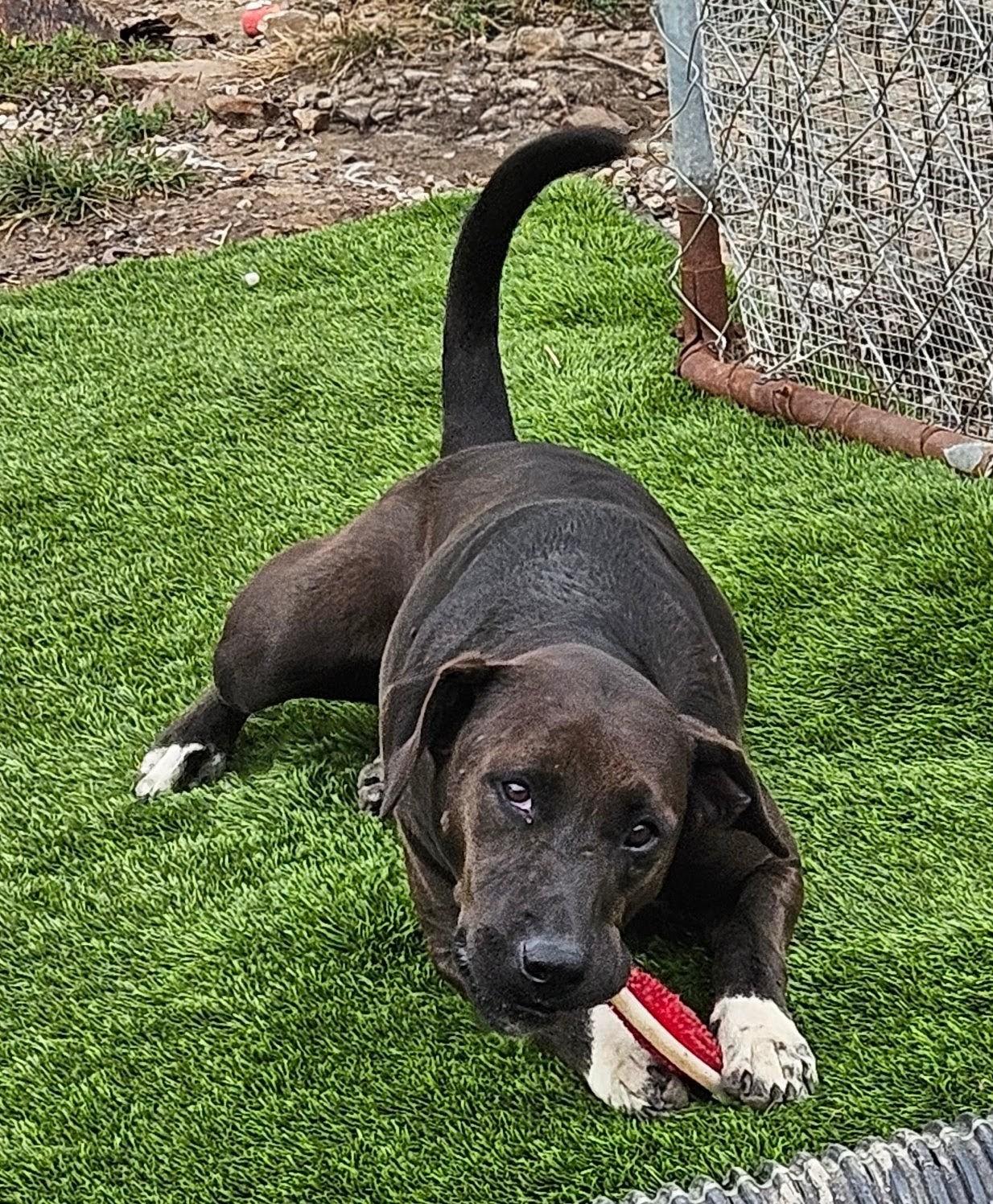 Corrina Class — thumbnail 2