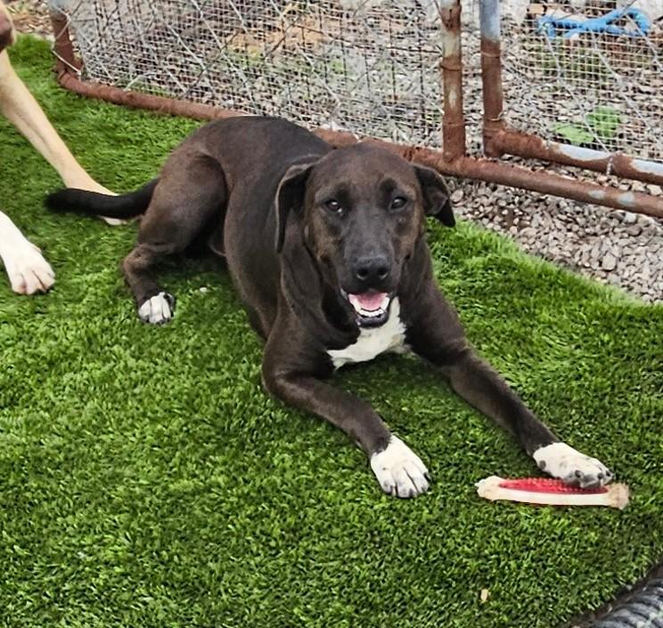 Corrina Class — thumbnail 3