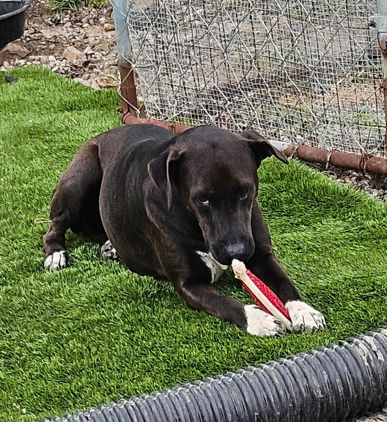 Corrina Class — thumbnail 4