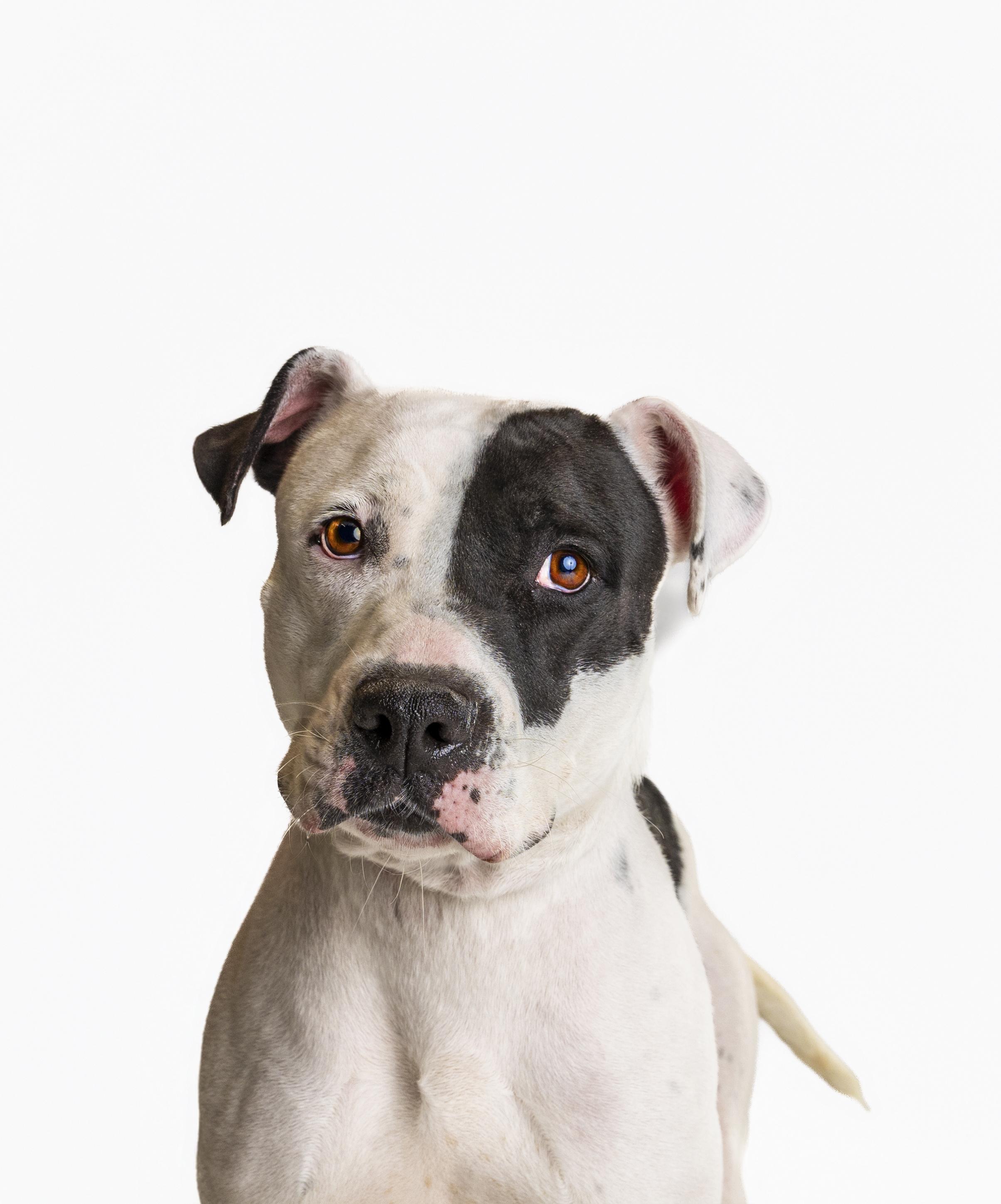 Daisy Buchanan — thumbnail 2