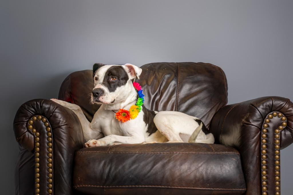 Daisy Buchanan — thumbnail 3