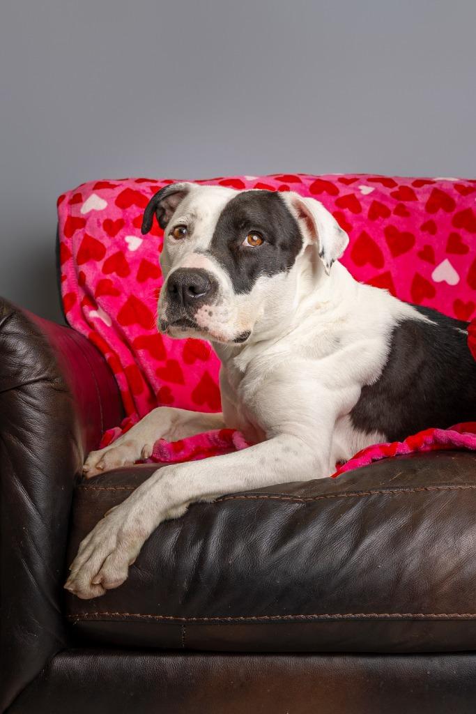 Daisy Buchanan — thumbnail 4