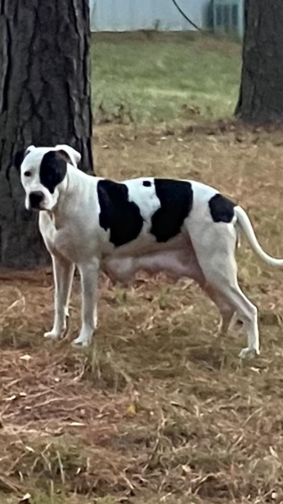 Daisy Buchanan — thumbnail 5