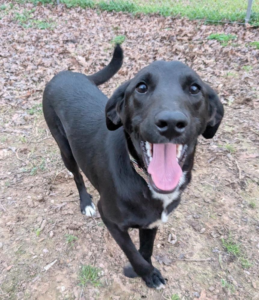 Zadie Greyhart — thumbnail 3