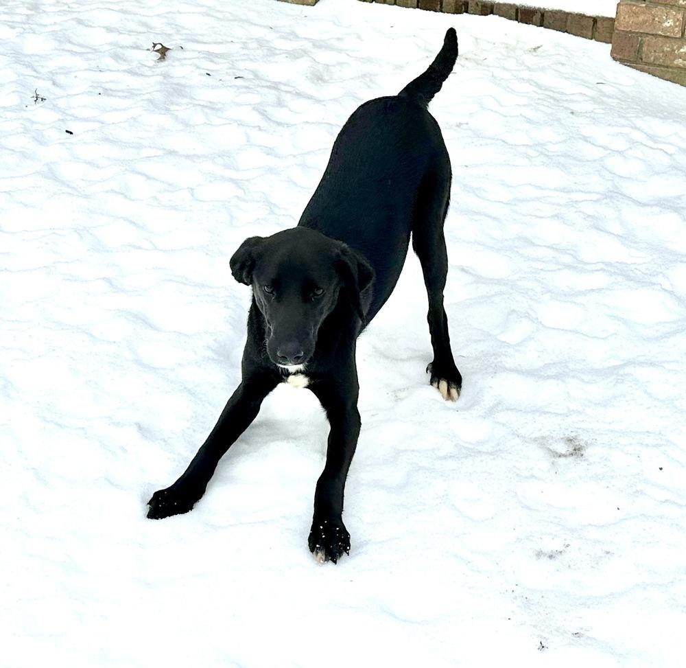 Zadie Greyhart — thumbnail 4