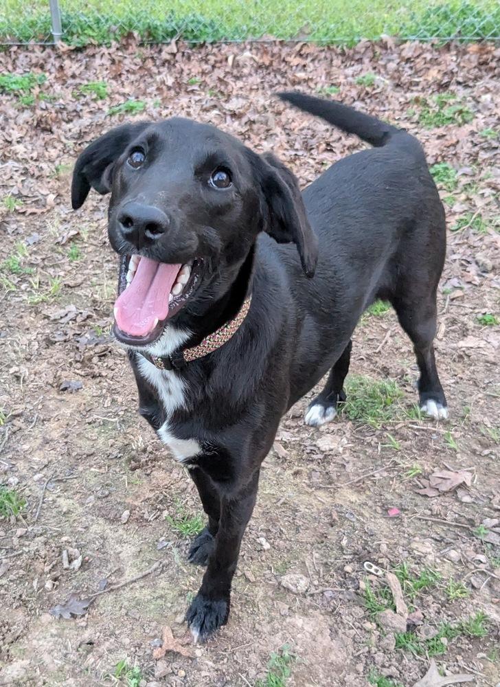 Zadie Greyhart — thumbnail 5