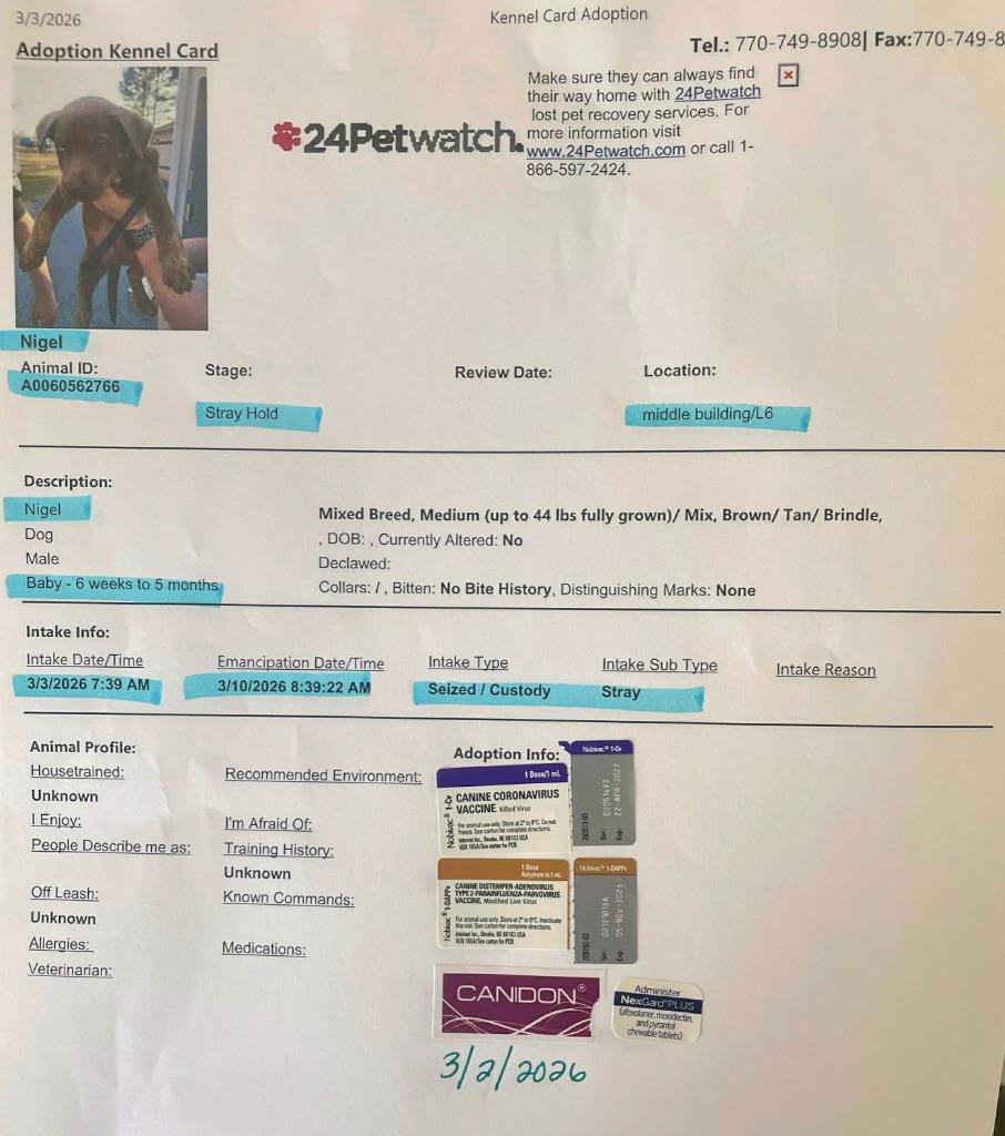 Sheldon — thumbnail 3