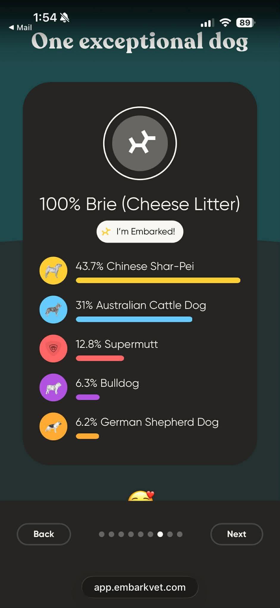 Enlarge Mozza, a Adoptable mixed breed in New London, WI image 3/3