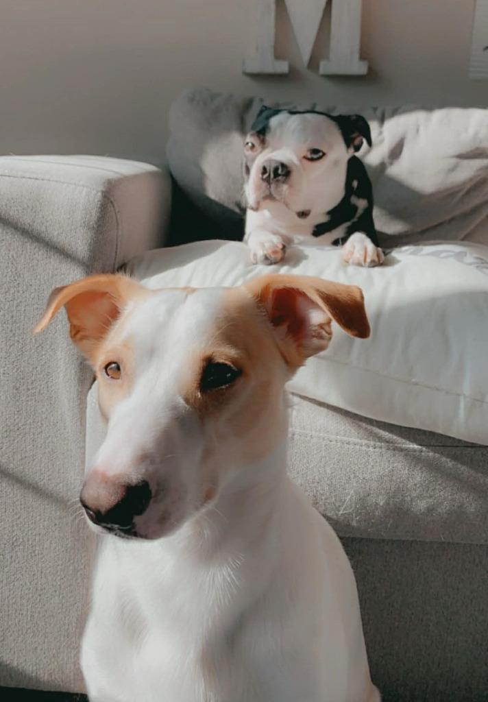 Nori & Frankie thumbnail 2