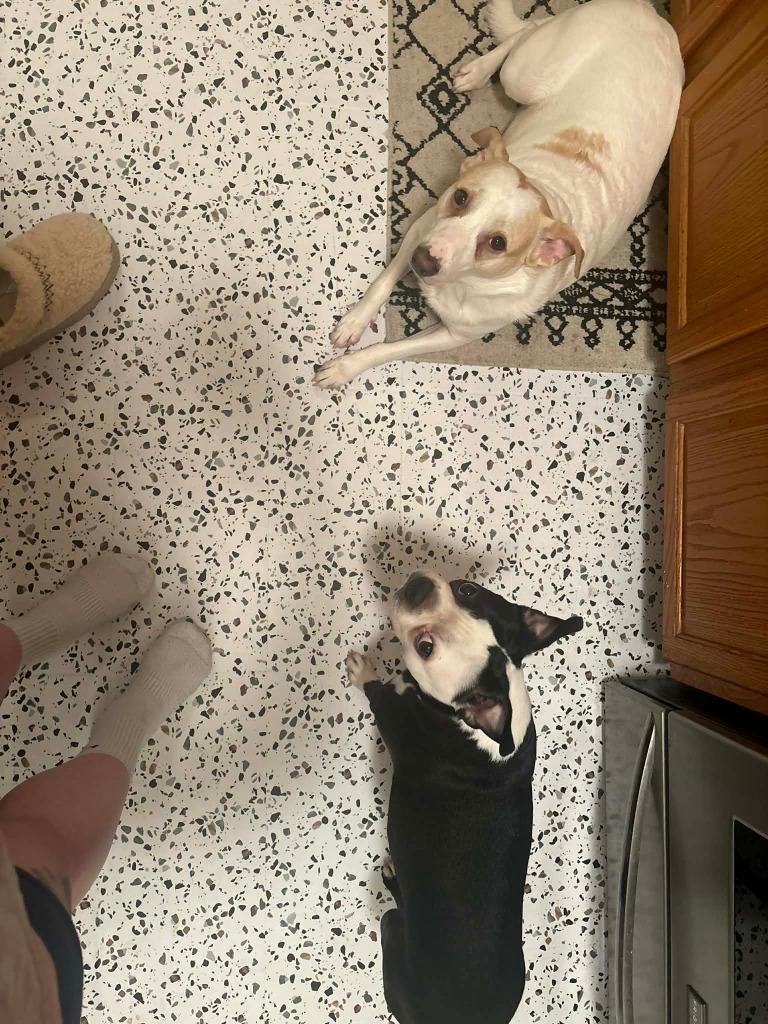 Nori & Frankie thumbnail 4