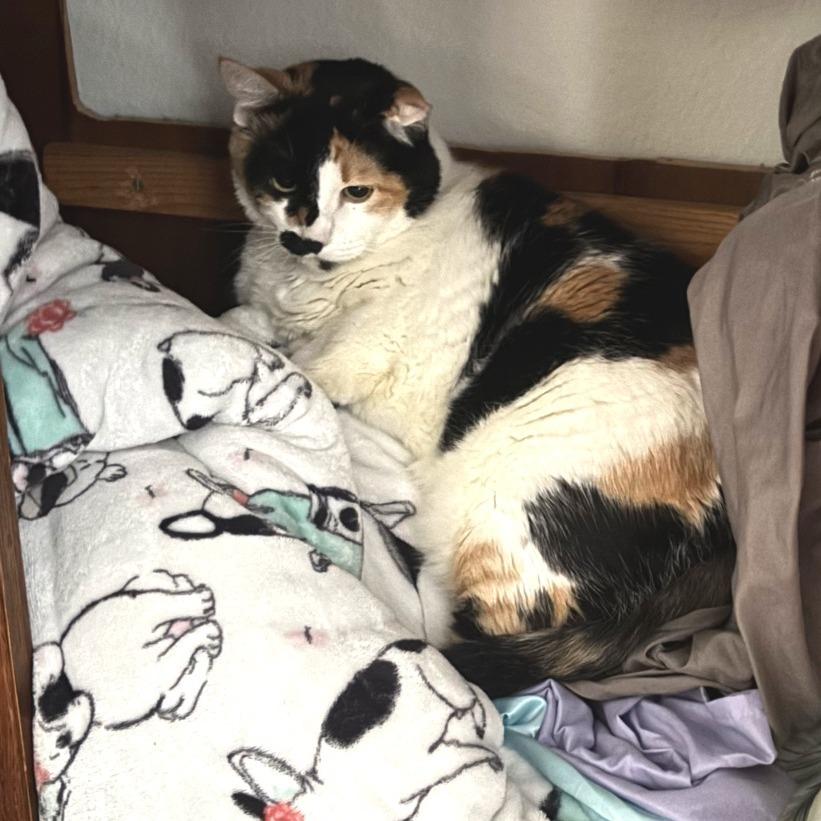 Chrissy — thumbnail 5