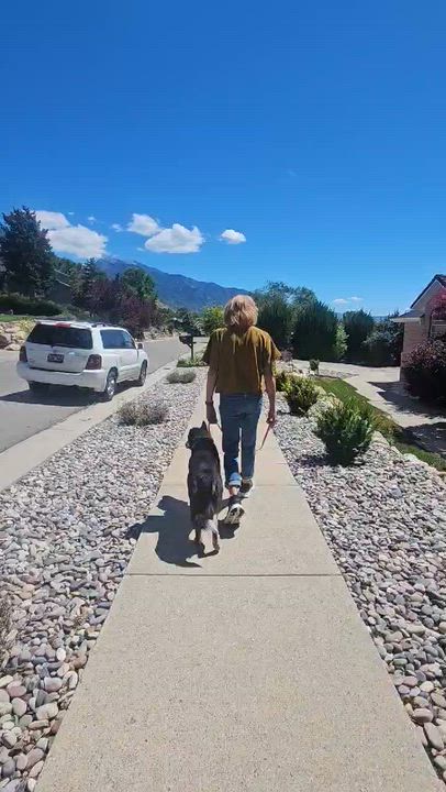 Enlarge Zumie, a ADOPTABLE mixed breed in Santaquin, UT video 4/4