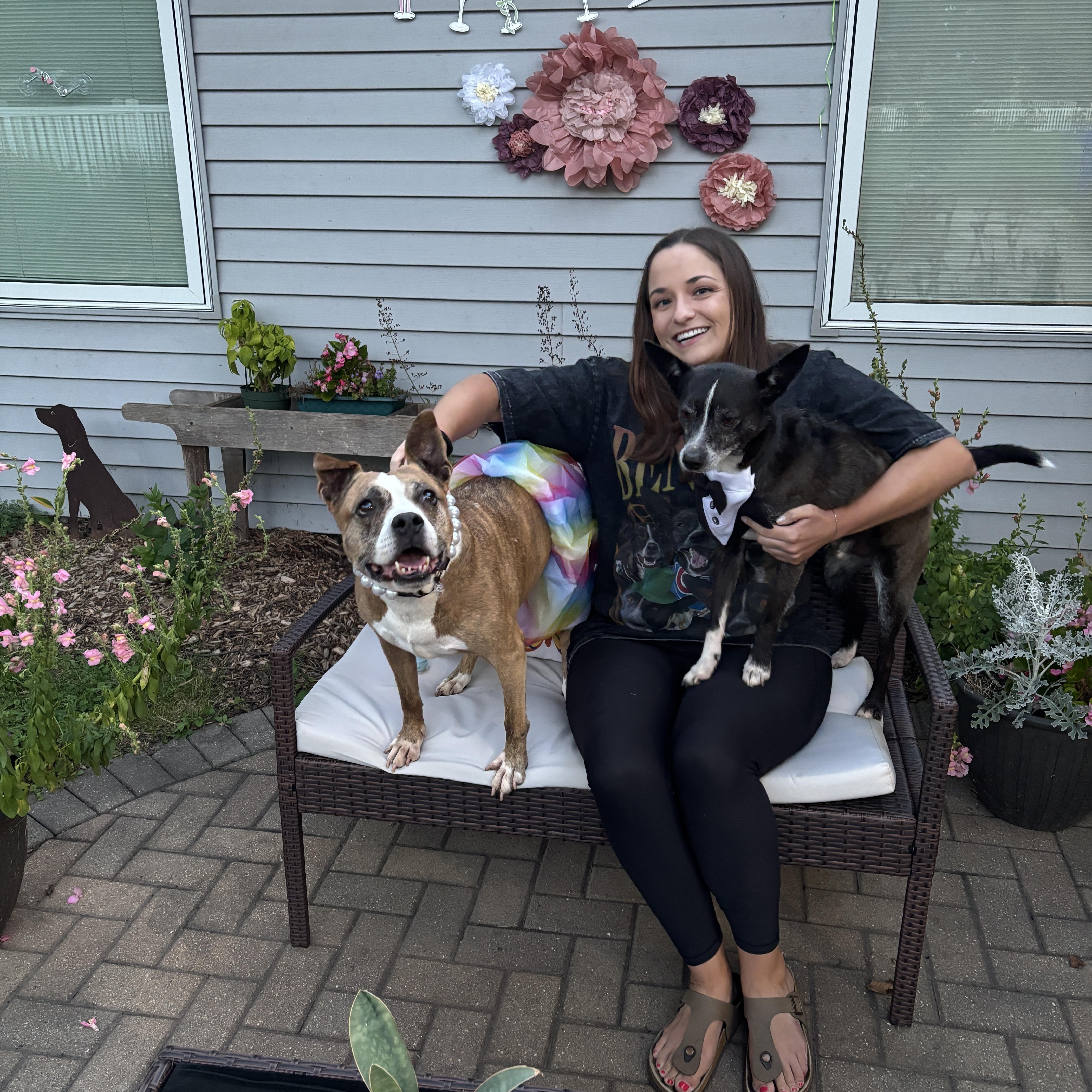 Trixie, a Adoptable Pit Bull Terrier in Chicago, IL image 4/6