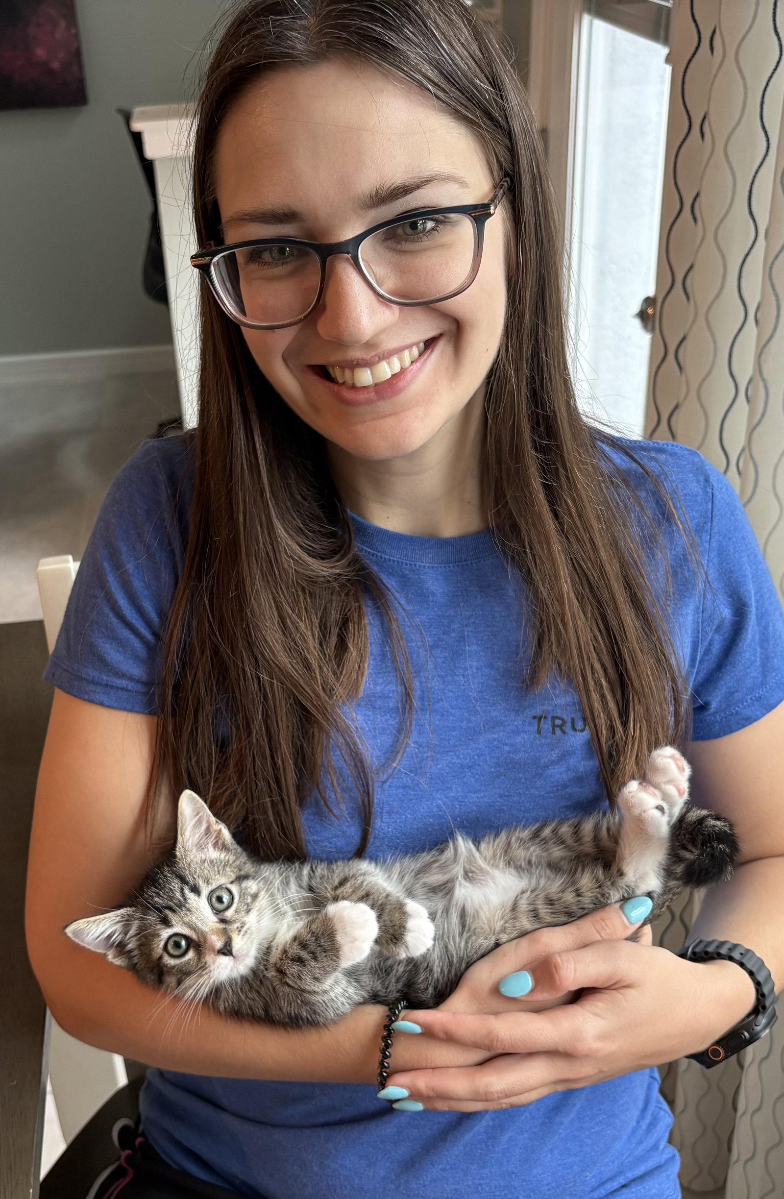 Enlarge Carlito, a Adopted Tabby in Orlando, FL image 2/3