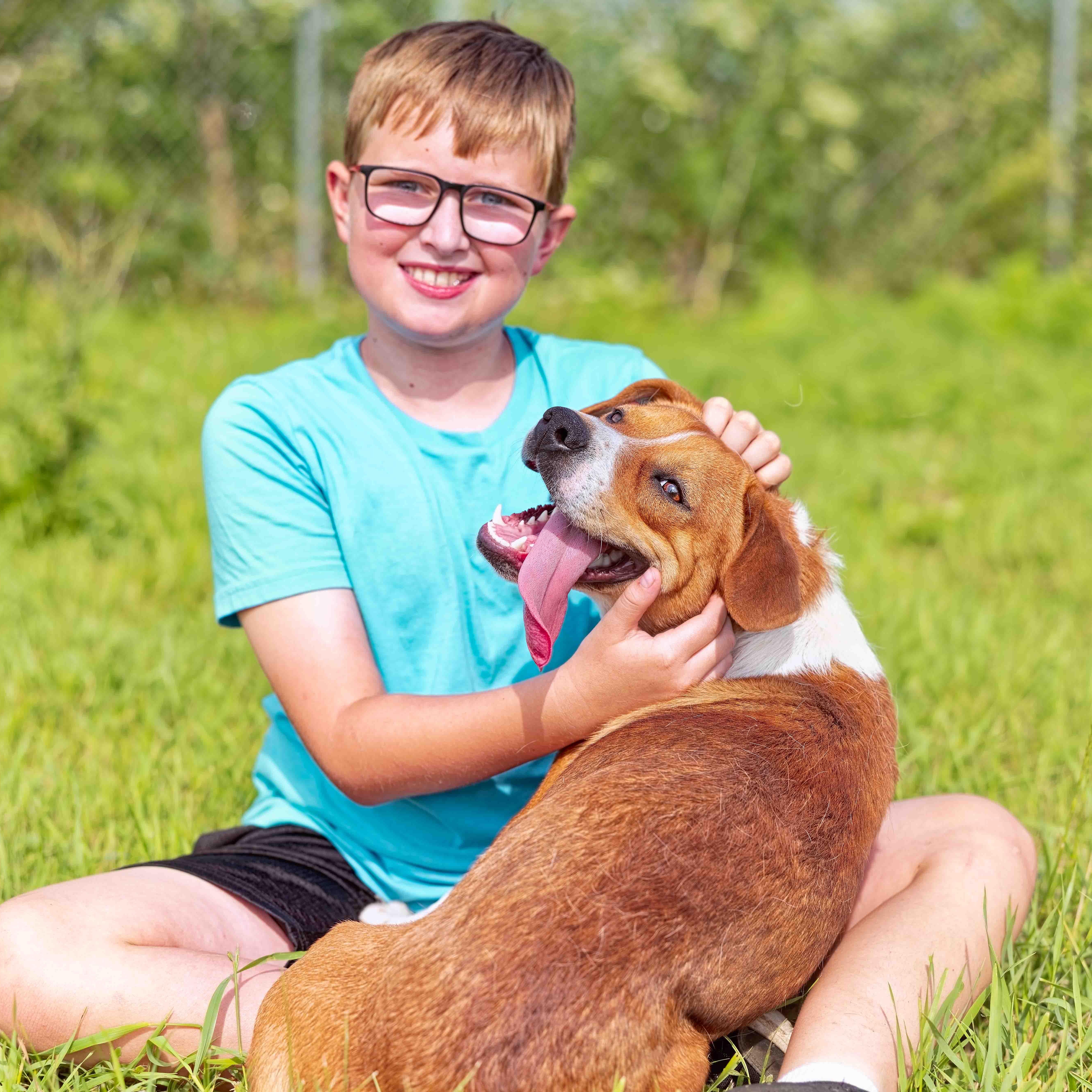 Henry, a Adoptable mixed breed in Clarinda, IA image 6/6