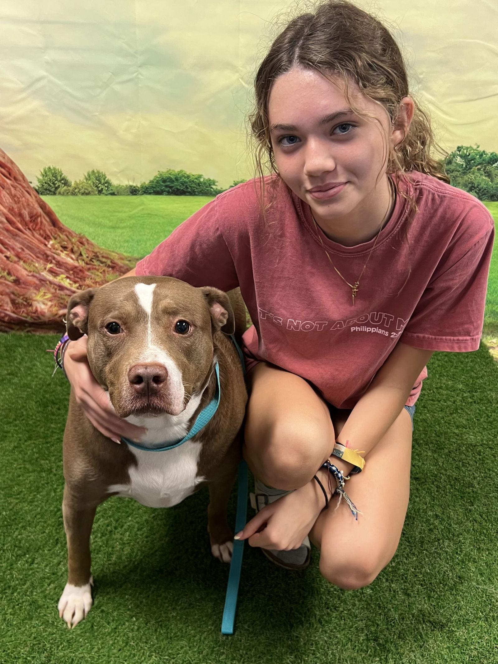 Enlarge Skylar, a Adoptable Terrier in Euless, TX image 3/3