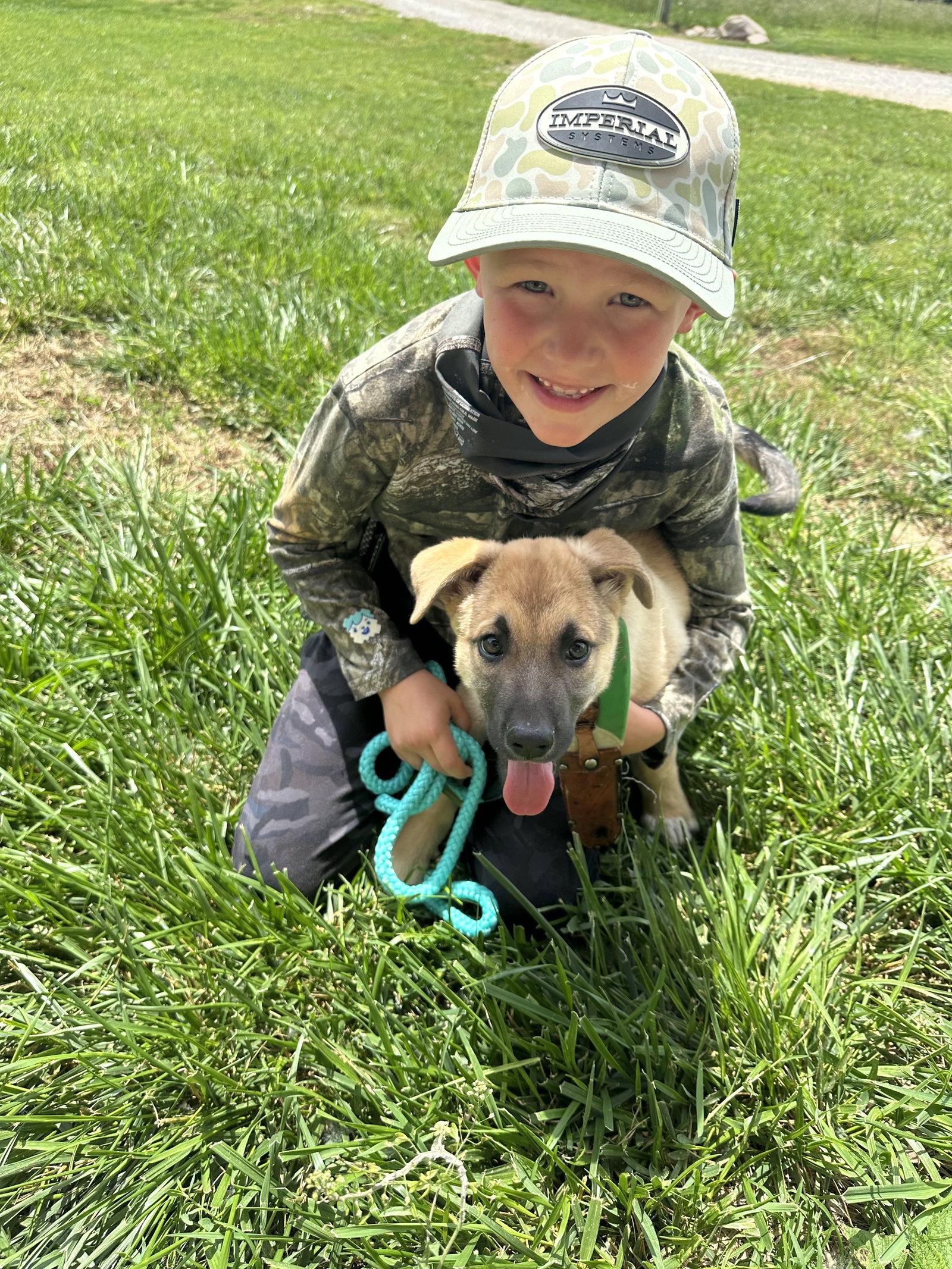 Easter Candy Litter- Cadbury, a Adoptable mixed breed in Mattoon, IL image 1/3